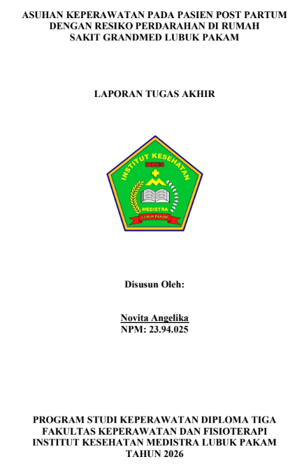 Sampul ASUHAN KEPERAWATAN PADA PASIEN POST PARTUM DENGAN RESIKO PERDARAHAN DI RUMAH SAKIT GRANDMED LUBUK PAKAM